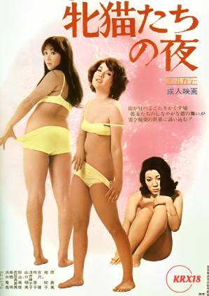 貓之夜