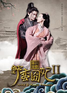 野蠻囧妃2：迷霧重重