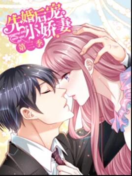 先婚後寵小嬌妻第三季